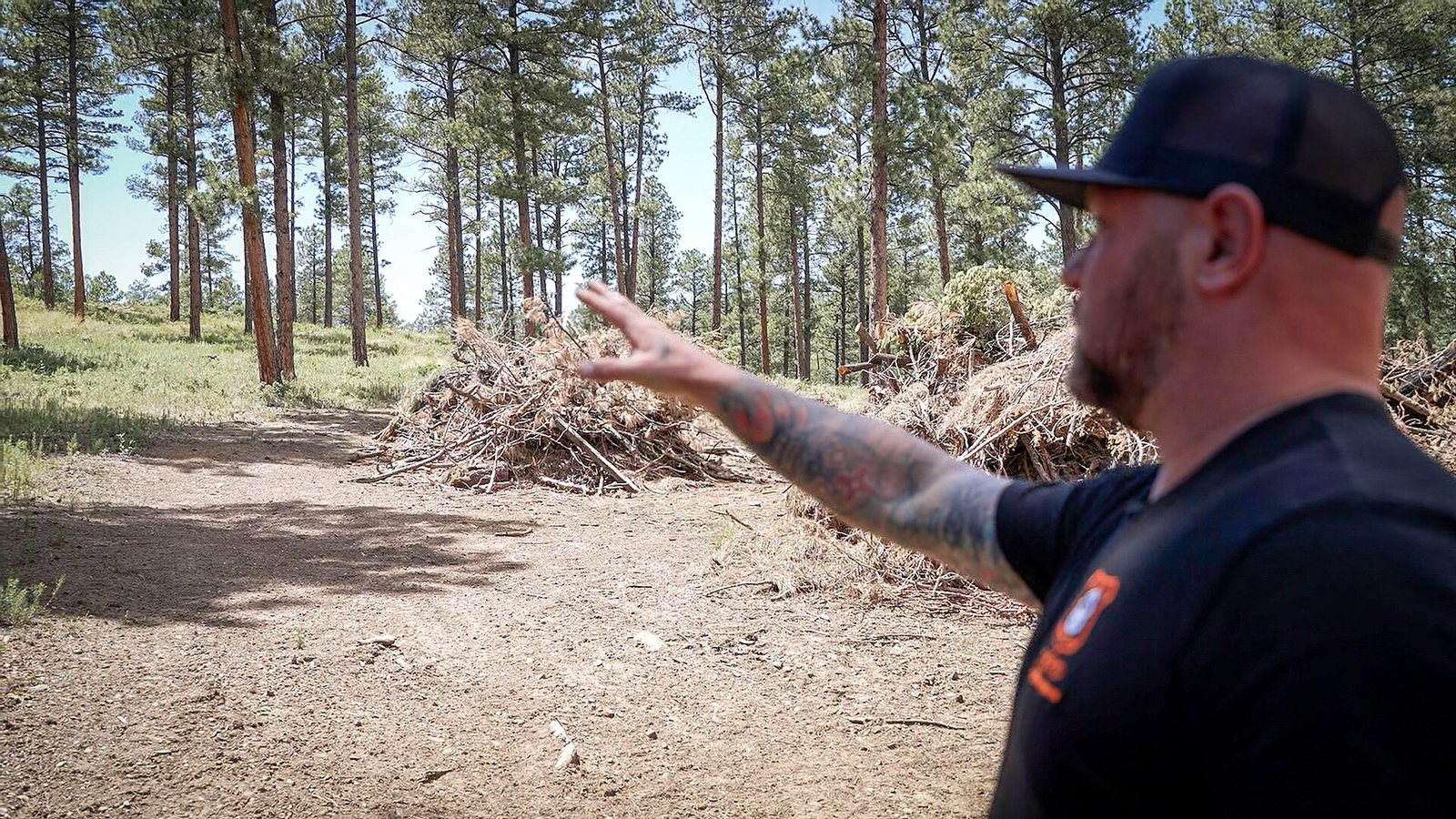 A forest officer discusses fuels management among ponderosa pines near Ruidoso.