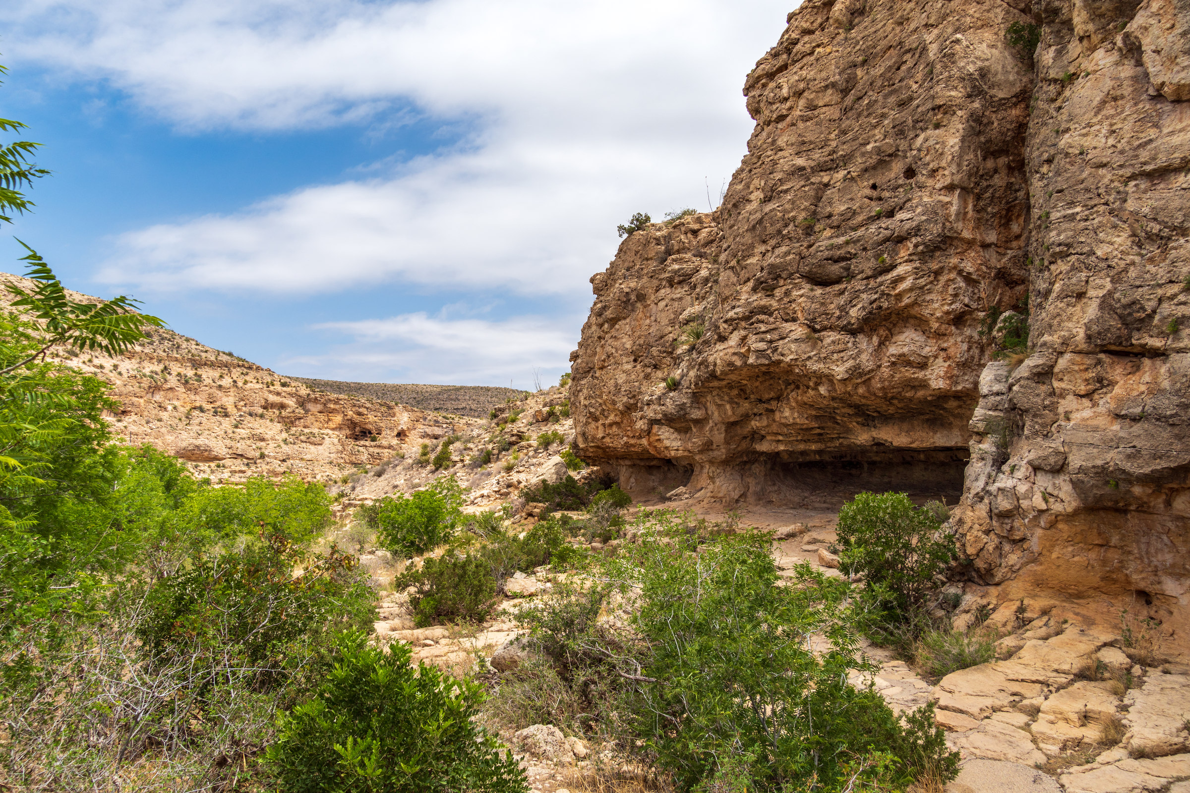 Sunlit limestone cliffs and desert vegetation near Carlsbad Caverns National Park.